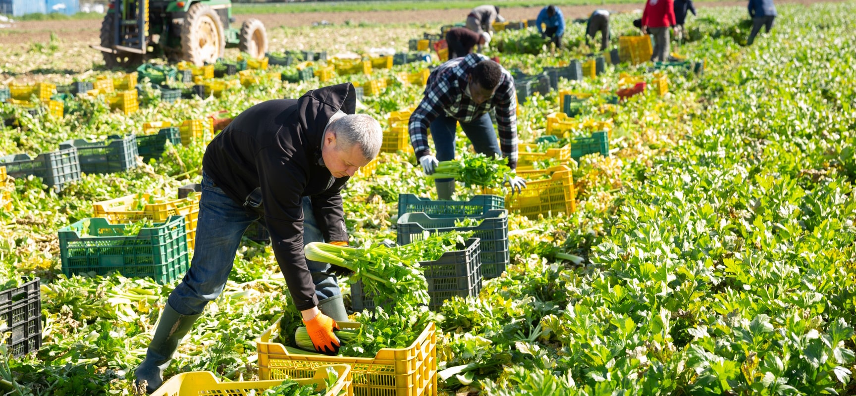 Agribusiness Worker Demands