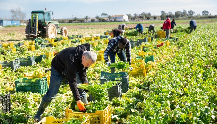 Agribusiness Worker Demands