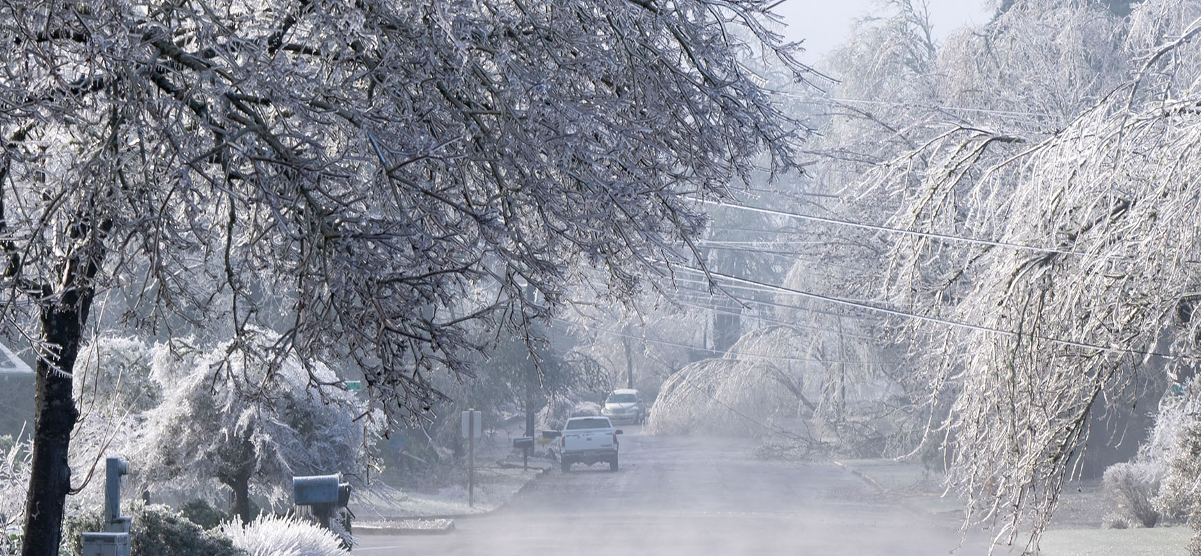 Frozen trees around a street with a car visible
