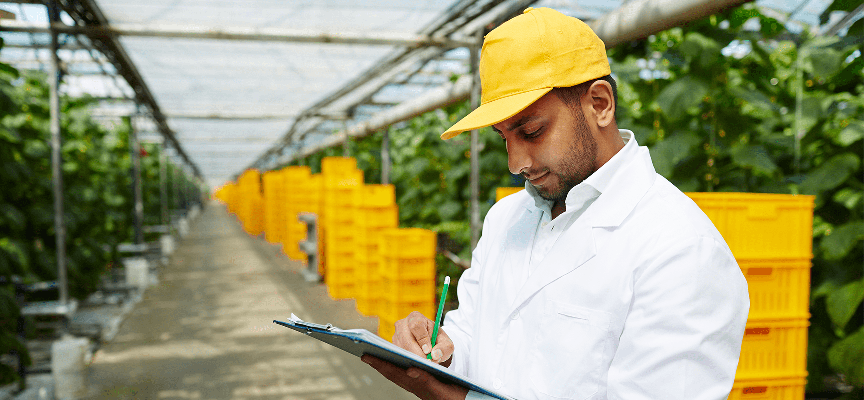 How-Legal-System-Abuse-is-Driving-Up-Insurance-Costs-and-What-Agribusinesses-Can-Do-About-It