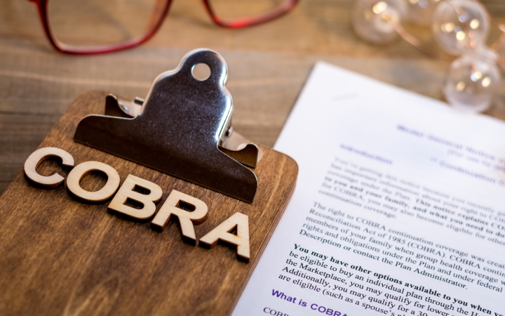 COBRA Premium Subsidy Guidance detail
