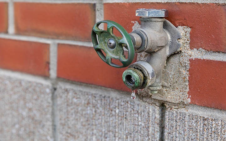 Detail103119_SL