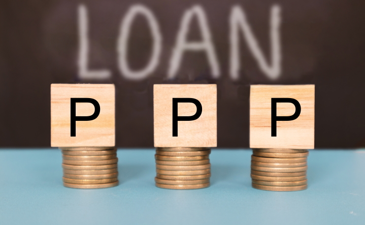 PPP loans detail