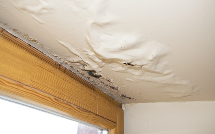 Water Damage Detail2