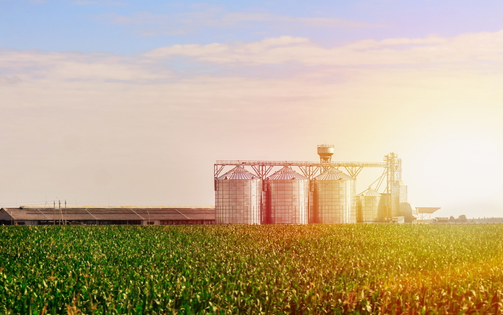 grain safety detail