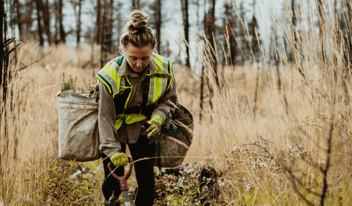 Consulting Foresters Insurance