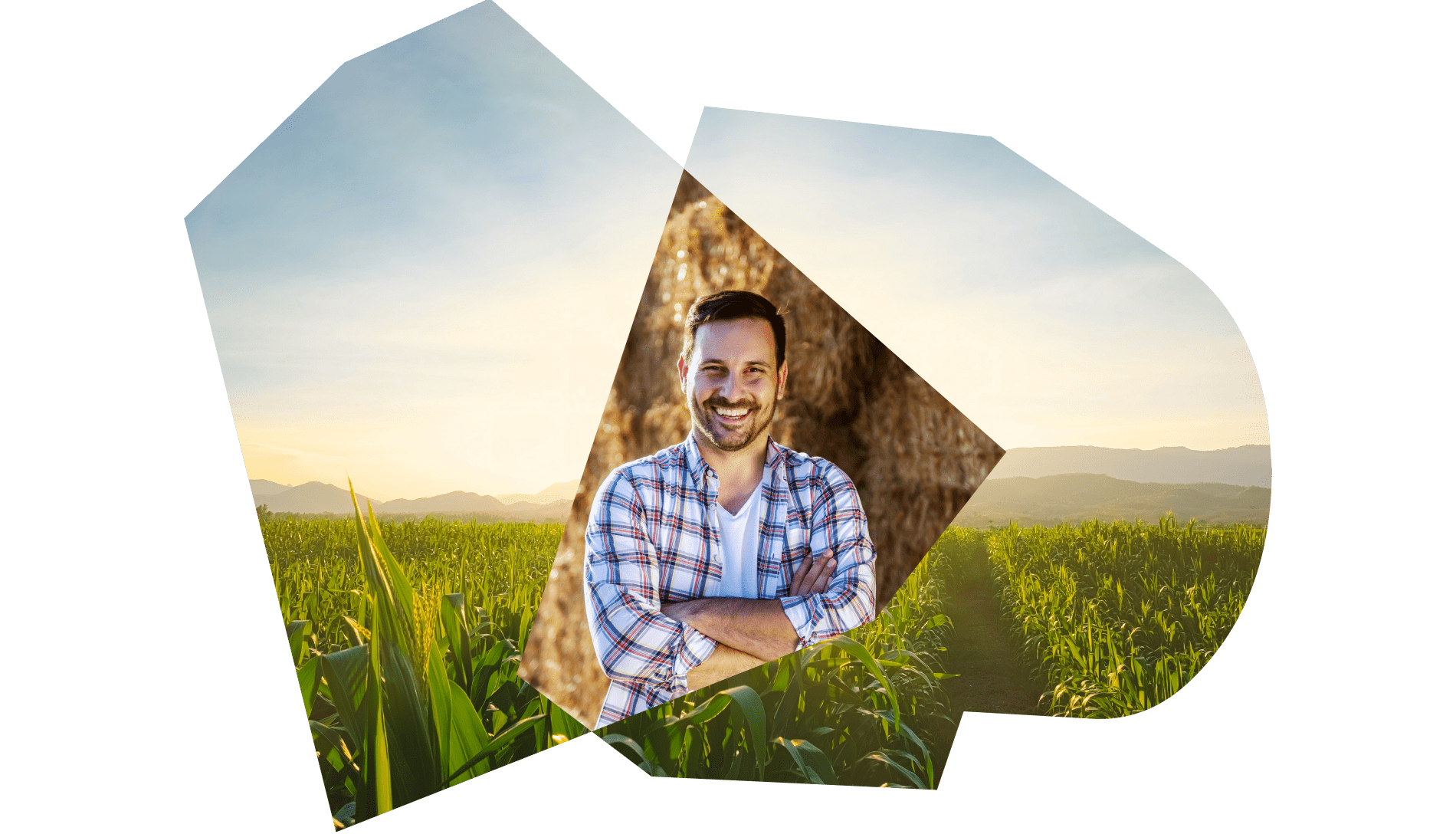 Agribusiness
